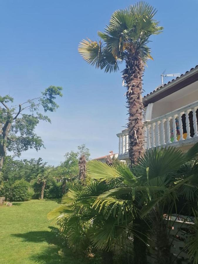 Apartment Villa Angelina, 70M From The Beach, Free Parking Novigrad  Exterior photo