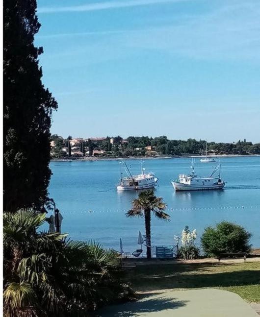 Apartment Villa Angelina, 70M From The Beach, Free Parking Novigrad  Exterior photo