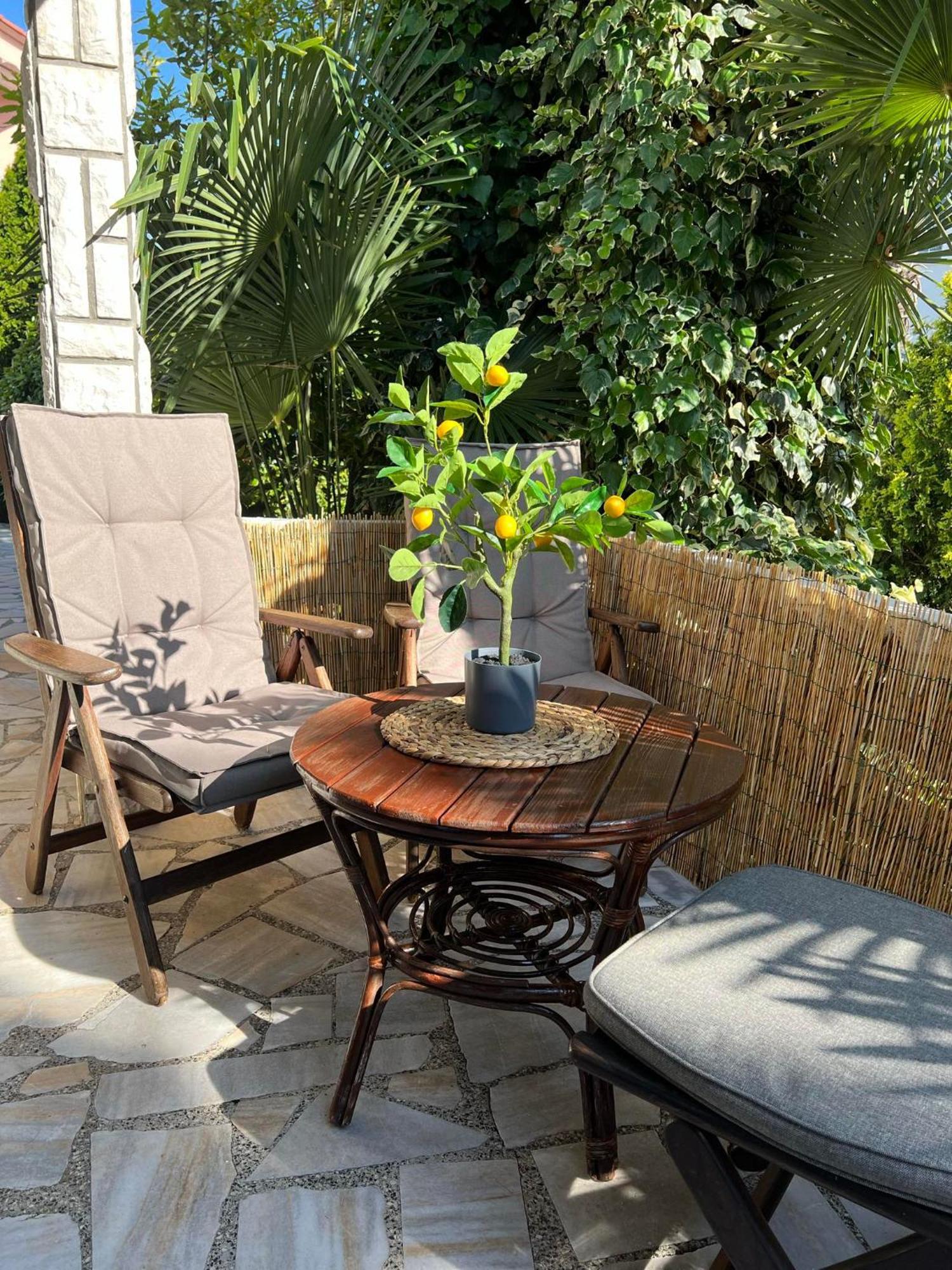 Apartment Villa Angelina, 70M From The Beach, Free Parking Novigrad  Exterior photo